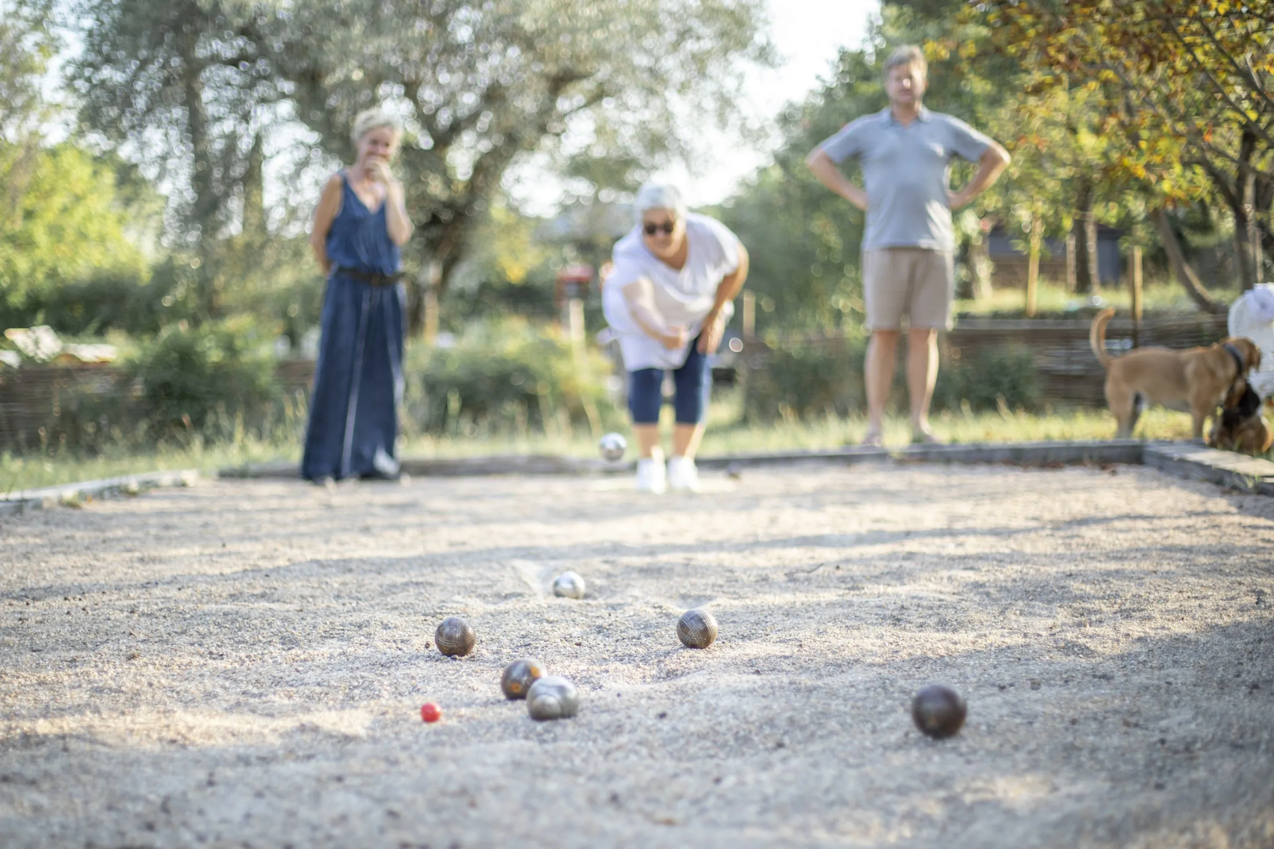 Le Mas des Romarins - Quality B&B in Fayence France, Le Mas des Romarins - Chambres d'hôtes de qualité au cœur de la Provence